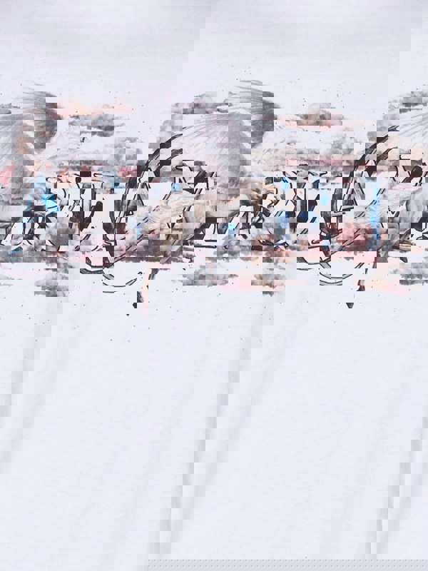 AMIRI PEGASUS TEE WHITE