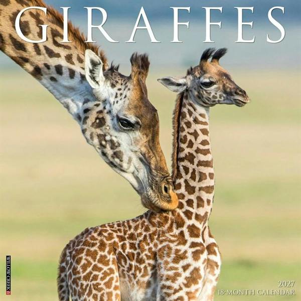 Giraffes Calendar 2027, Wall Calendars, Month To View, Animals, Gift