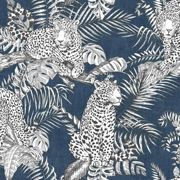 Darcy James Mamboa Blue Wallpaper image 3