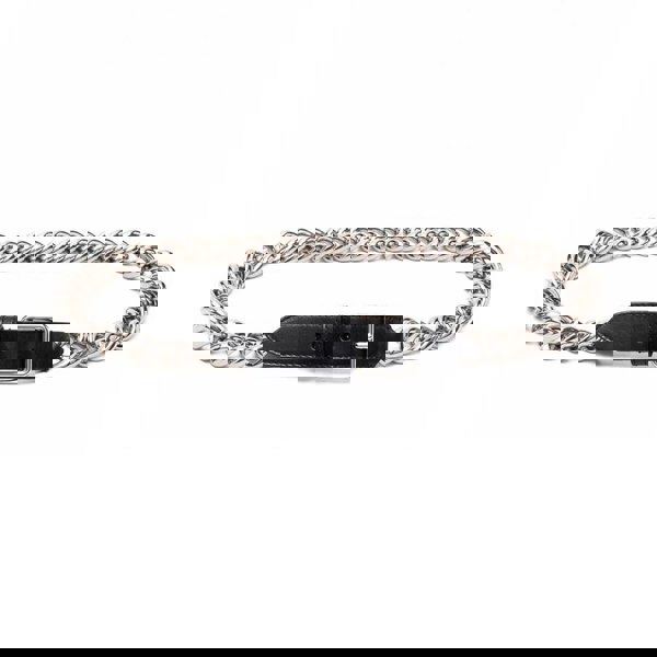 Alexander McQueen curb chain belt in a silver tone metal