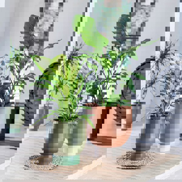 #color_green