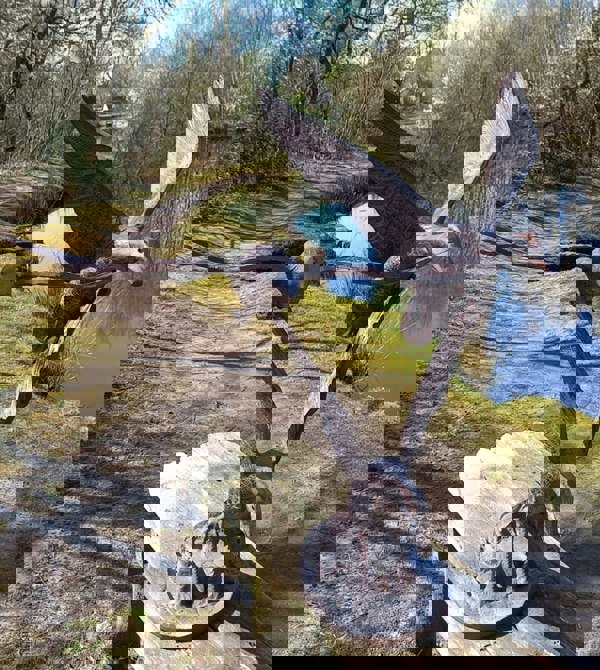 Inspirational Gifting Set of 3 Flying Ducks Garden Sculpture Ornament Decor