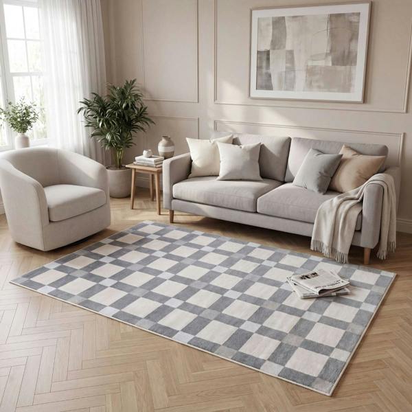 Living room with a checkered rug, sofa, and armchair.