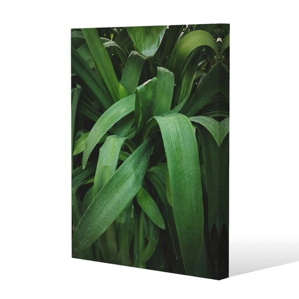 Benjamin Tate Design Atmospheric background, Selective focus Slim Style Canvas Print  90x120cm , 15mm Slim Real wood.