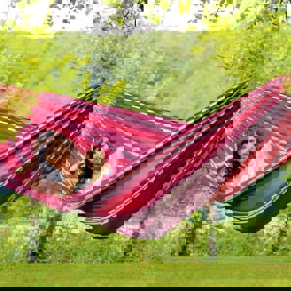 Amazonas Salsa Fuego Hammock