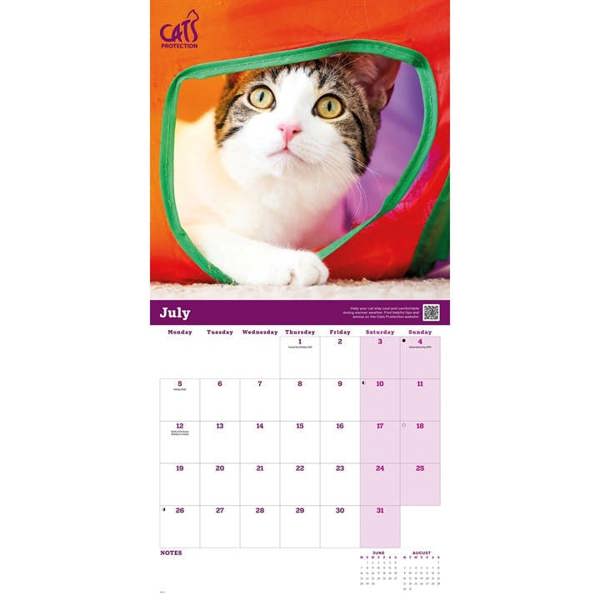 Cats Protection Calendar 2027, Wall Calendars, Month To View, Cats, Gift