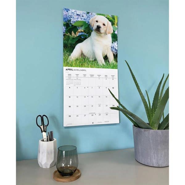 Yellow Labrador Retrievers Calendar 2027, Wall Calendars, Month To View, Dogs, Gift