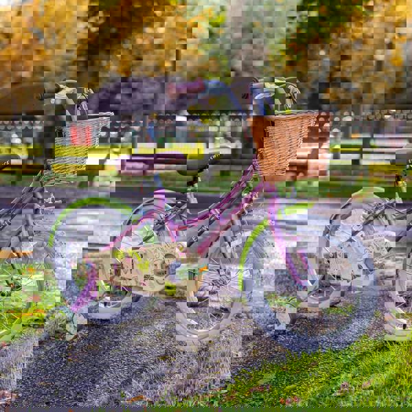 Elswick Hope 16" Kids Heritage Bike