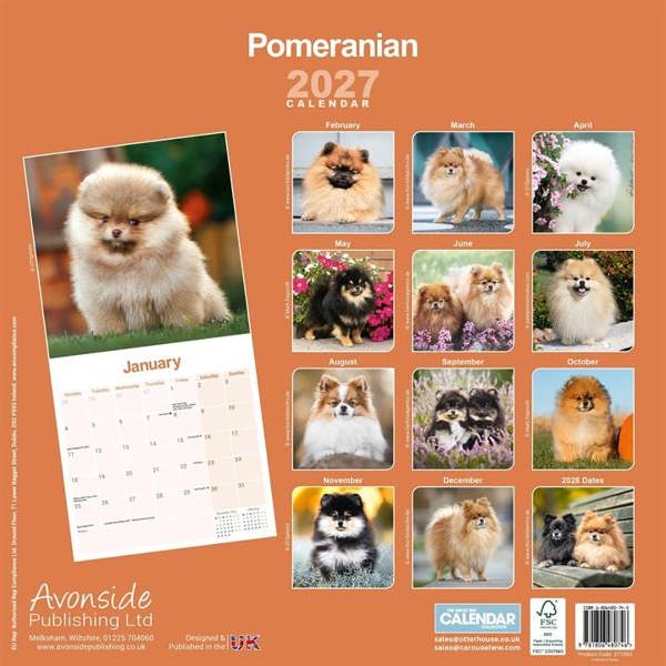 Pomeranian Calendar 2027, Wall Calendars, Month To View, Dogs, Gift