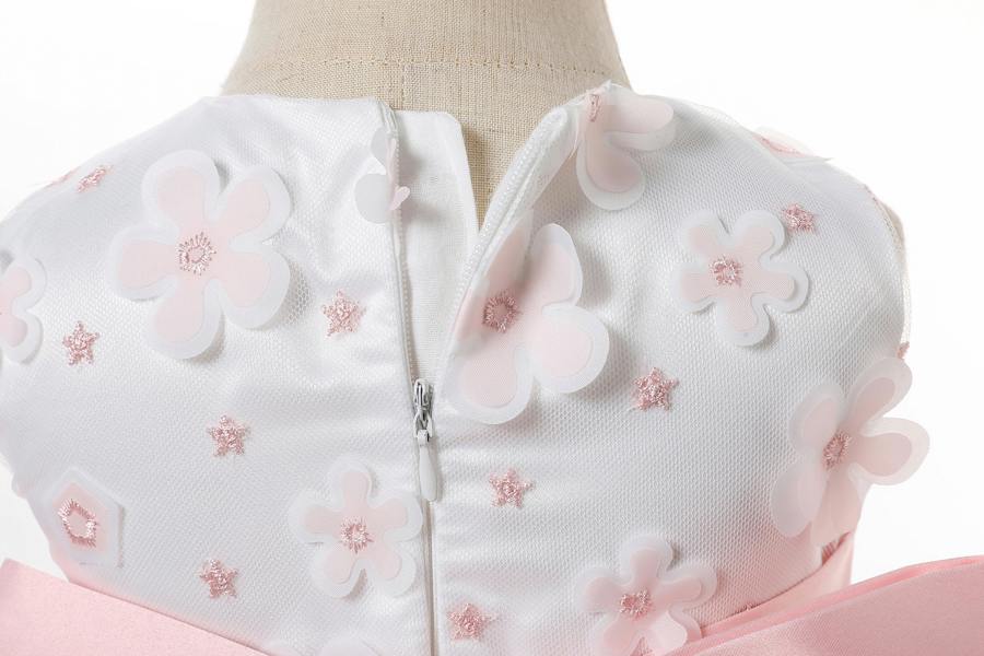 Cinda Embroidered Floral Party Dress
