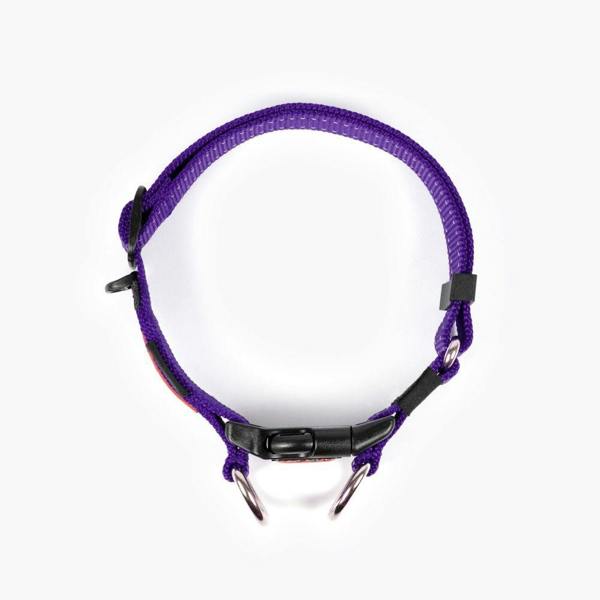 EzyDog Double Up Dog Collar in Purple