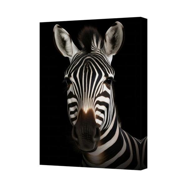 Benjamin Tate Design Zebra Portrait Canvas Wall Art Print On Black Background