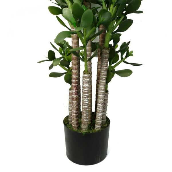 Dyzi 75cm Artificial Jade Plant Deluxe Potted Faux Green House Plant