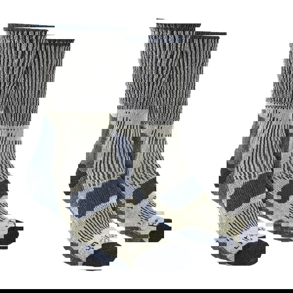 t4option1_1