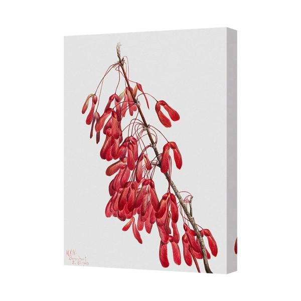 Benjamin Tate Design Red Branches Canvas Art Print on Deep Wooden Frame Handmade in UK