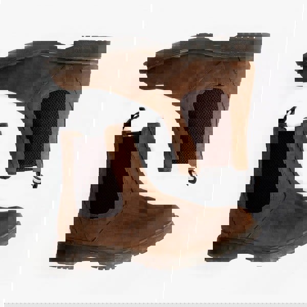 1660052428-79632200.jpg