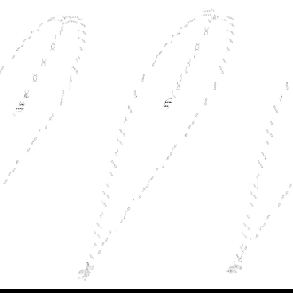 Mylee London Hamster Silver Necklace - Personalised