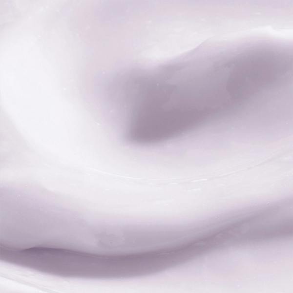Pureology Hydrate Treatment Mask