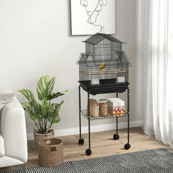 Bird Cage