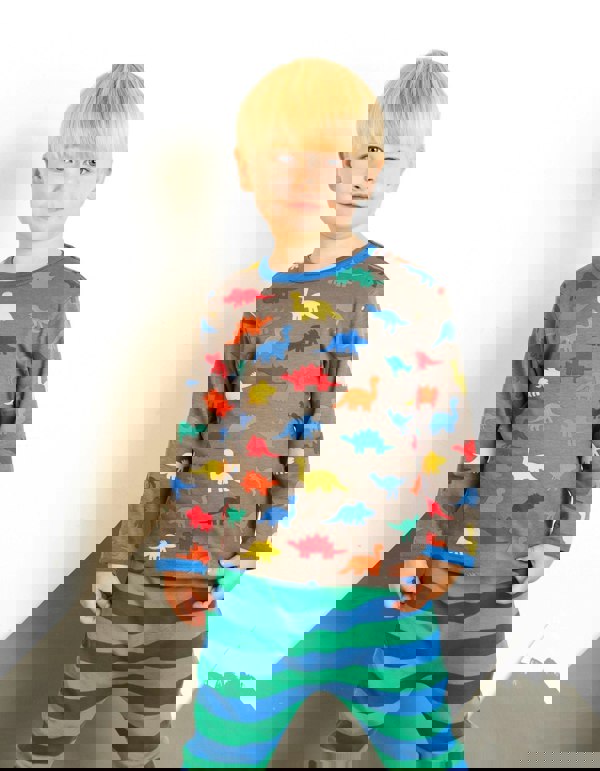 Organic Dinosaur Print T-Shirt - Toby Tiger UK Retail