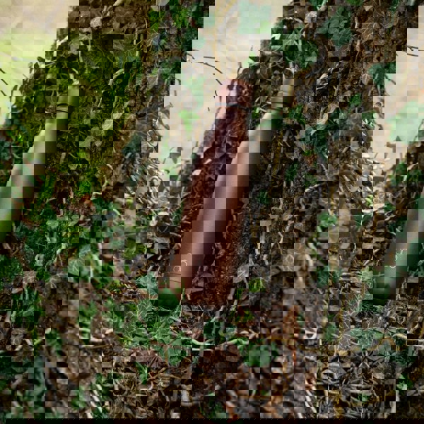 Brown water bottle. Sits on a tree branch with leaves around.