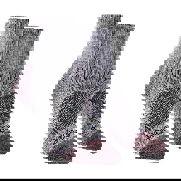 t4option1_1