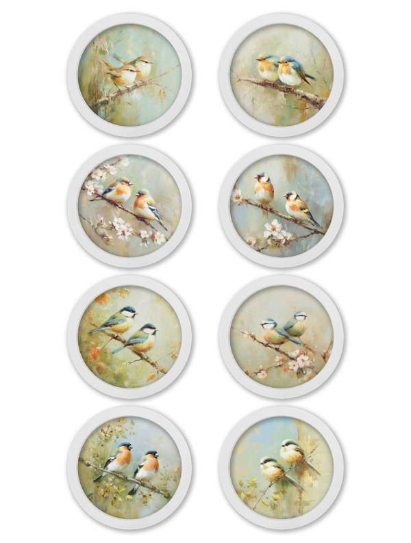 Exceptional Art Garden Birds - 30cm White Round Box Frame