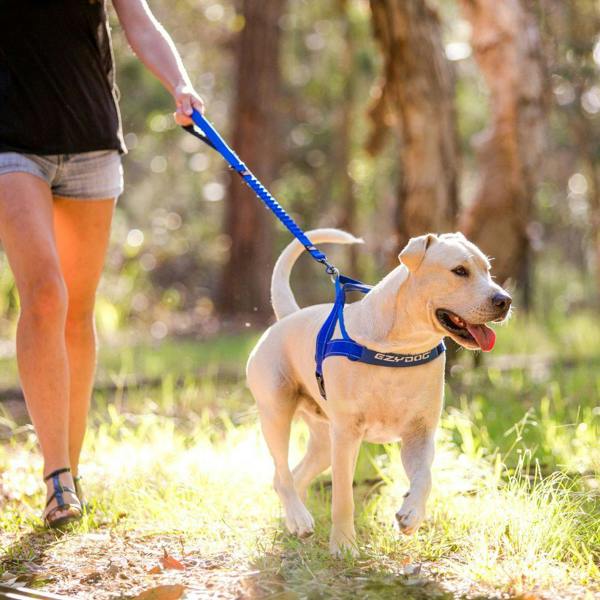 EzyDog Zero Shock Dog Lead in Blue