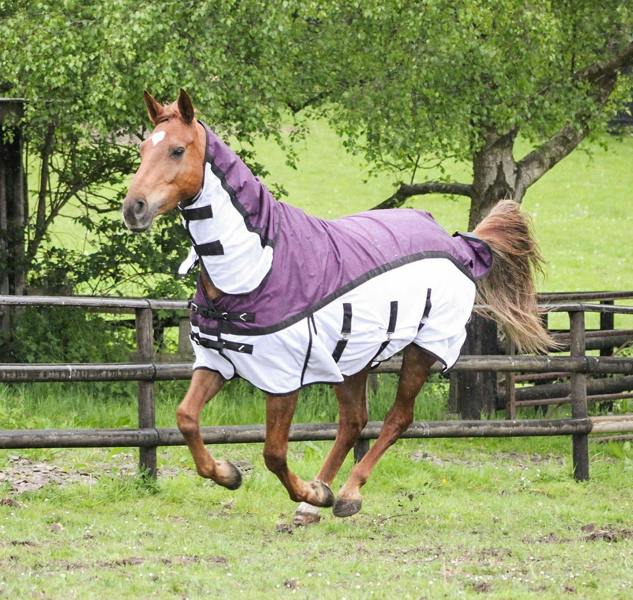 eQuitack 600D 2 in 1 Waterproof Fly Turnout Mesh Horse Rug Fixed Neck Burgundy/White 5'6''