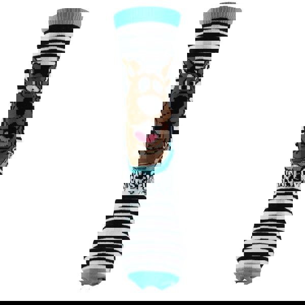 t4option1_0