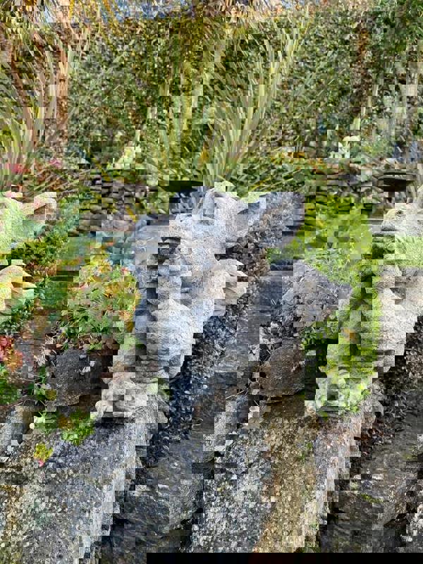 Sad Dragon Mythical Garden Ornament