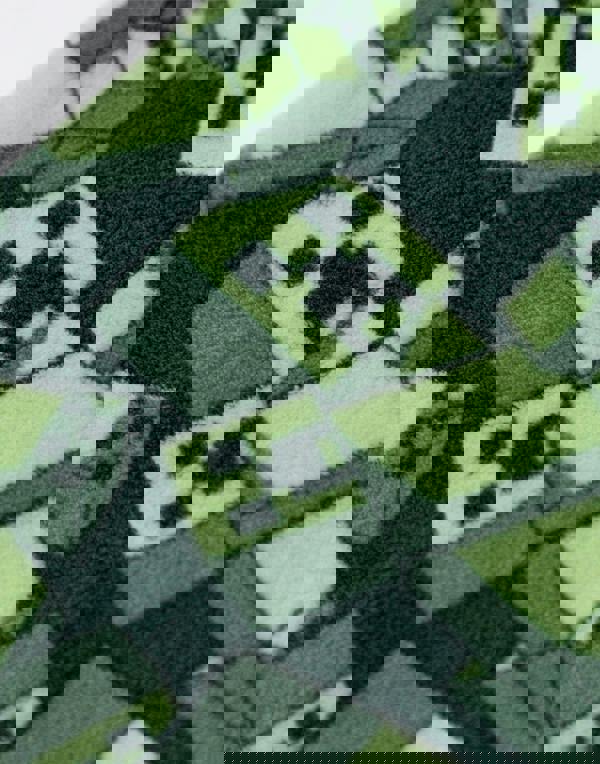 Minecraft Boys Green Creeper Blanket Hoodie (One Size)