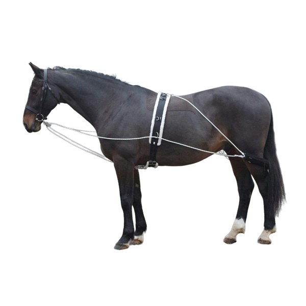 Shires Horse Lunging Aid - Black