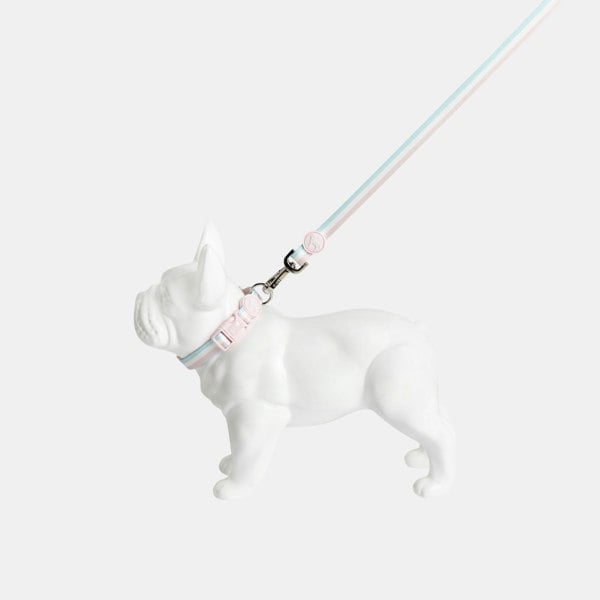 Barc London Candyfloss Stripe Lead & Matching Collar.