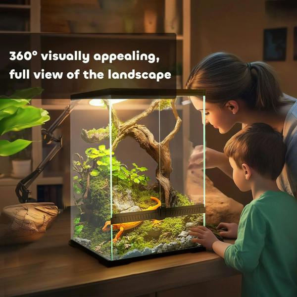 Black-framed glass reptile terrarium with 360-degree view in a home setting