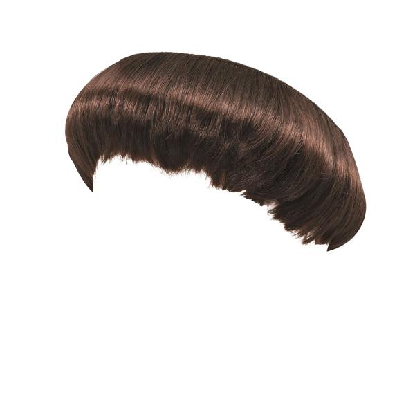 Bristol Novelty Mens Monk Wig - Brown - 