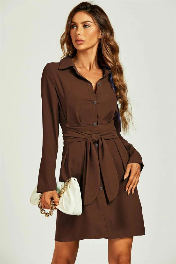 FS Collection Shirt Wrap Tie Mini Dress In Brown