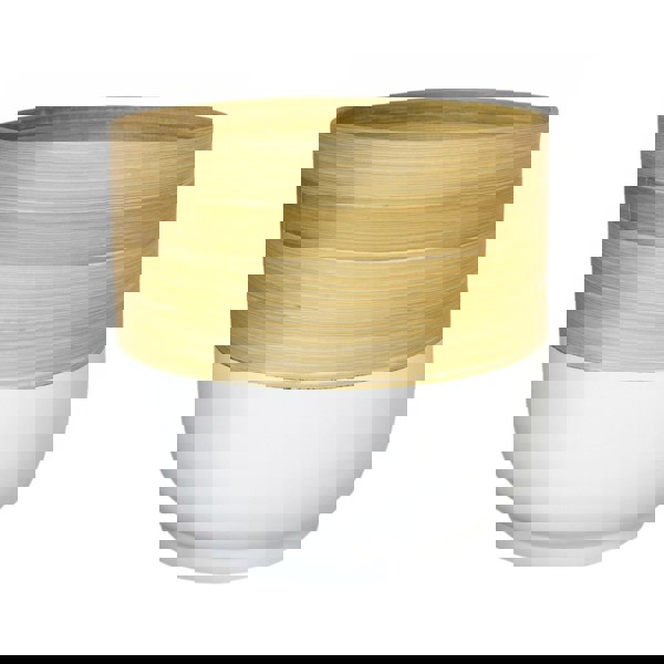 #color_white
