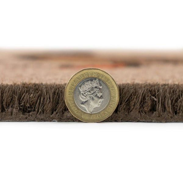 JVL Eco-Friendly Latex Backed Coir Entrance Doormat, 45x75cm - Ducks