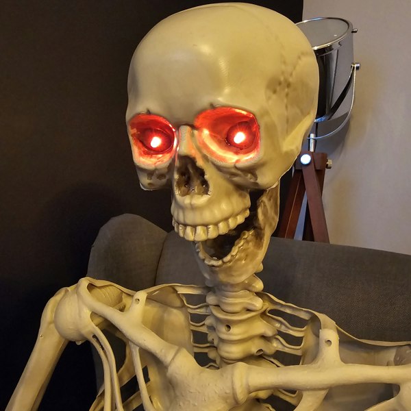 Samuel Alexander Pack of 4 5ft (150cm) Posable Full Body Halloween LED Skeleton Decoration with Movable Joints and LED Eyes