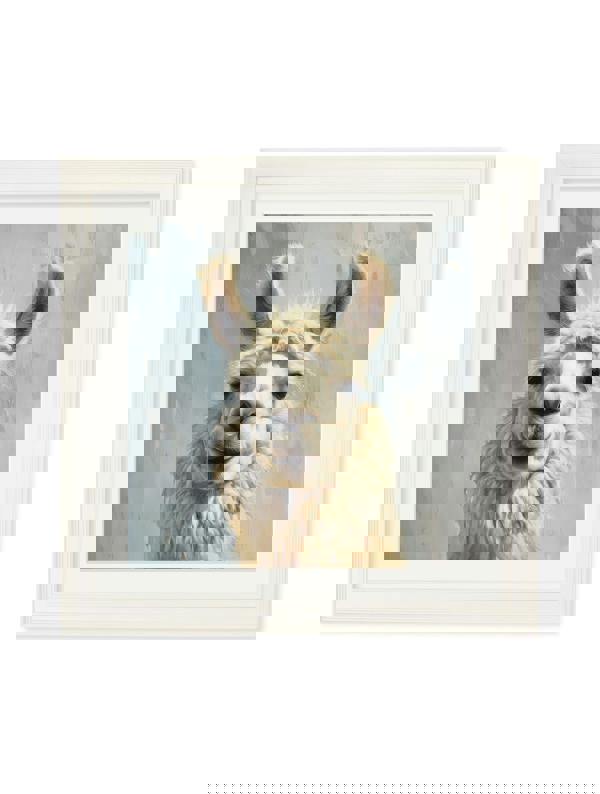 Exceptional Art The Goofy Llama - Cream Hurstwood square frame