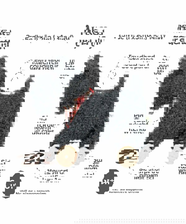 Infographic image of Scottie Dog Pull Along Toy showing features and benefits