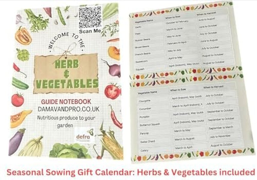 DamavandPro Herb Seeds Kit: 15 Variety Culinary Collection: Indoor & Outdoor Garden