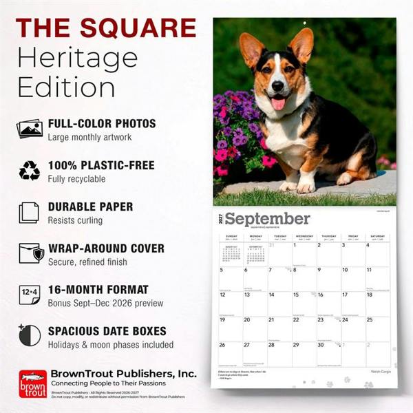 Welsh Corgis Calendar 2027, Wall Calendars, Month To View, Dogs, Gift