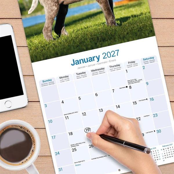 German Shorthaired Pointer Calendar 2027, Wall Calendars, Month To View, Dogs, Gift