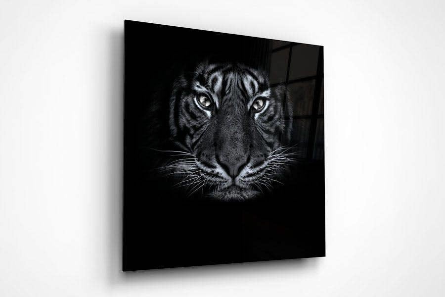 black tiger art print