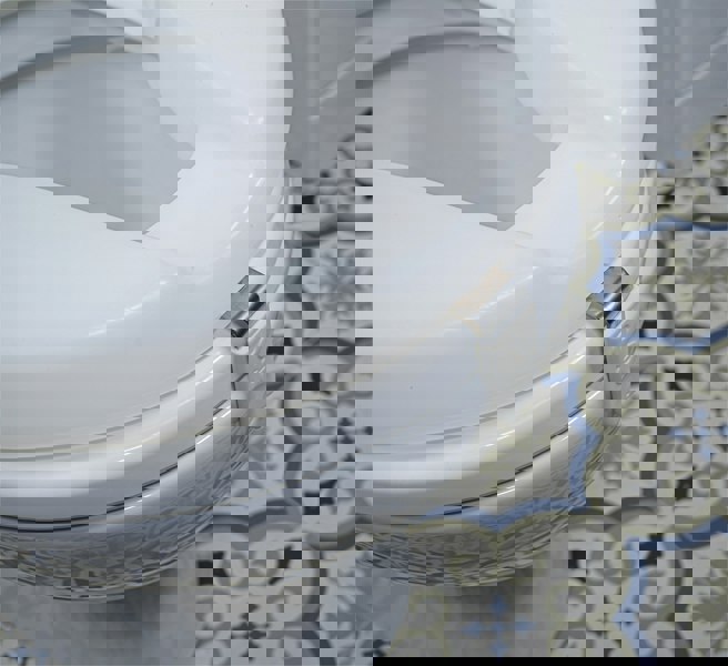 Aidapt Ashby Raised Toilet Seat 2 inch height