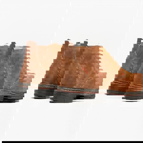 1650627497-55411400.jpg