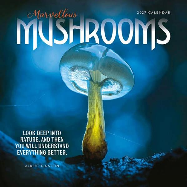 Marvellous Mushrooms Calendar 2027, Wall Calendars, Month To View, Natural World, Gift