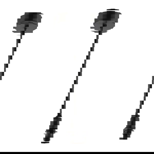 Classic Matte Black Ceiling Light Fixture to Showcase Lamp Shades Image 1